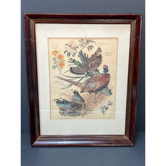 Vtg Pheasant Lithograph Print Arthur Singer Flora Fauna 14x16 Framed Botanical - Picture 2 of 9